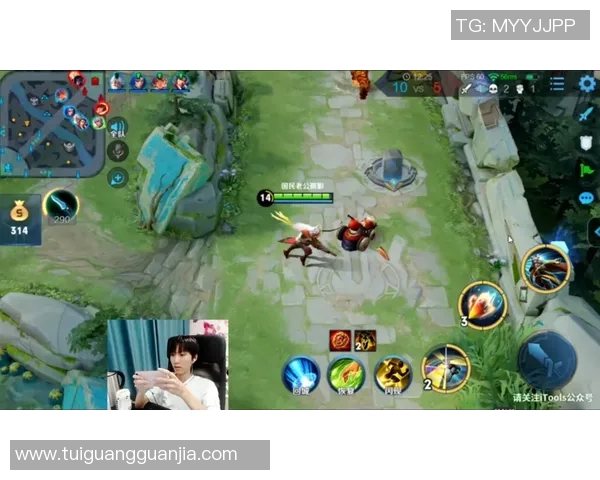 FPX战队团队协作解析王者荣耀中的默契与配合之道