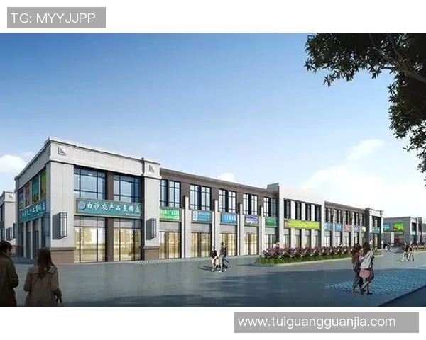 南京乒乓球队运营模式解析与发展策略探讨