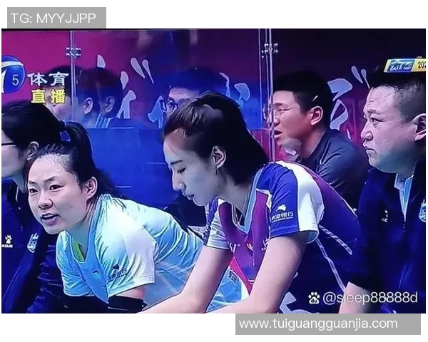 广州排球队实力引发热议球迷对球队未来发展看法各异