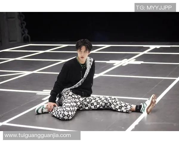 街舞实力榜单重磅发布展现舞者风采与竞争状态