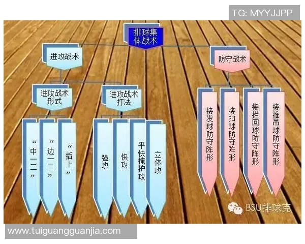 成都排球队灵活性对比分析及其对战术调整的影响探讨