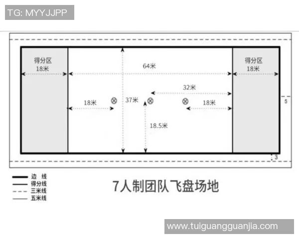 武汉飞盘队整体压制战术解析及其在飞盘运动中的影响力探讨