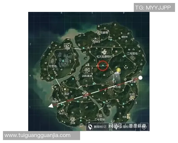 和平精英分析：BLG区域防守策略的成功与不足之处探讨